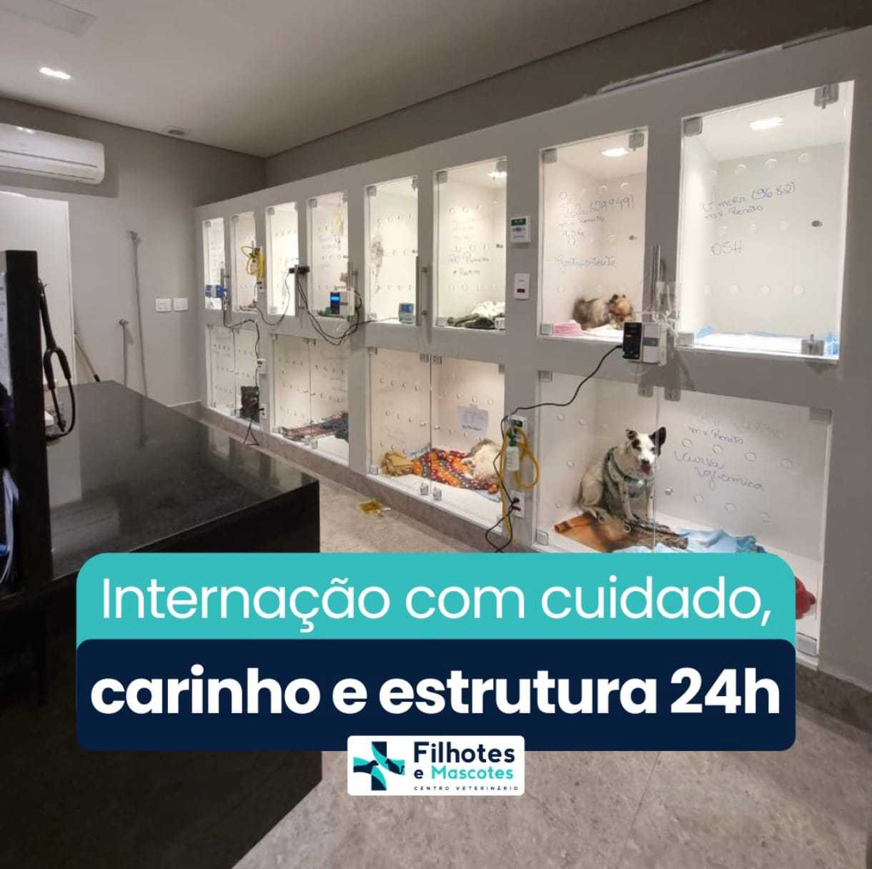 Internação Landing Image