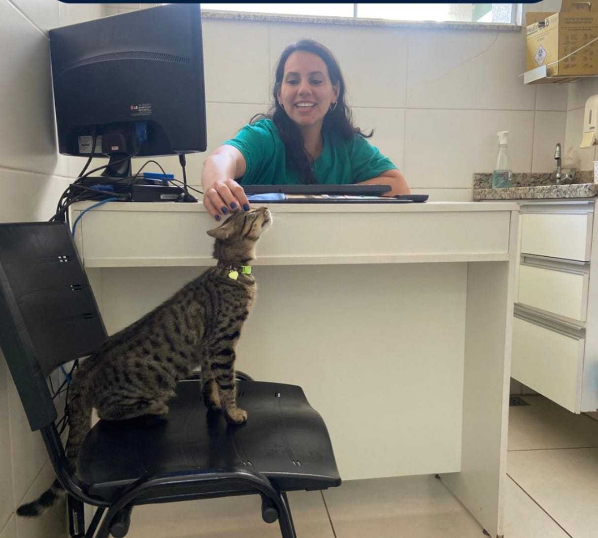 Acompanhamento Pré Operatório Landing Hero Top Image