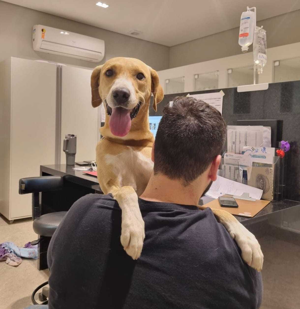 Acompanhamento Pós Operatório Landing Image